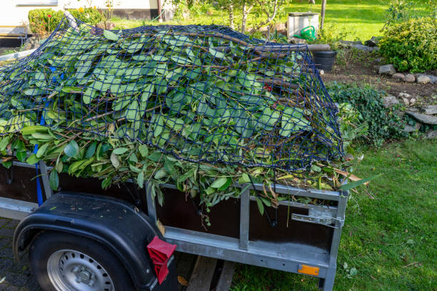 Reliable Belle Isle, FL Junk Removal Services Solutions